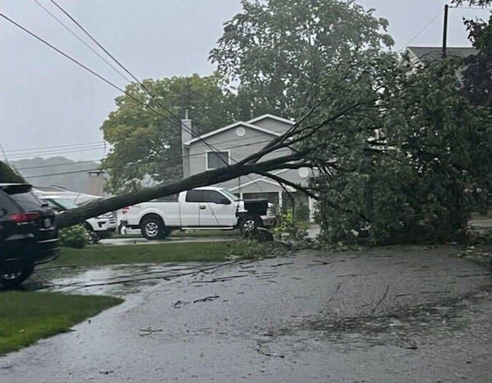 Tree down in Bloomfield