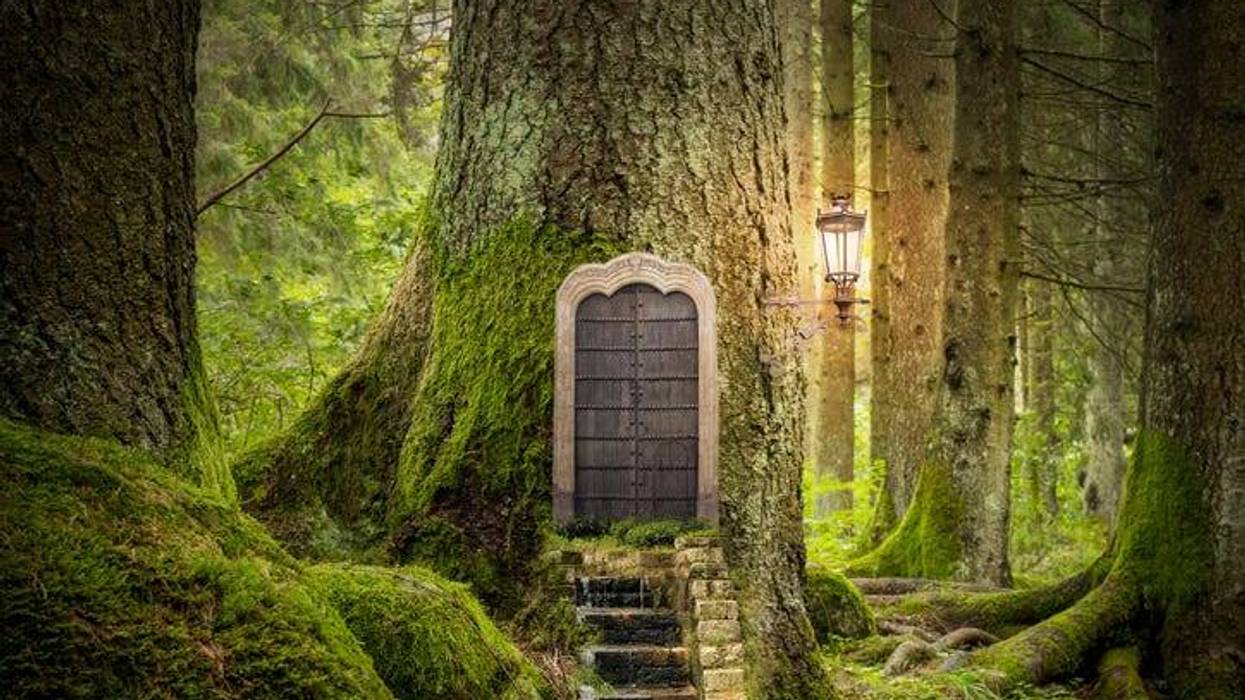 Tree home