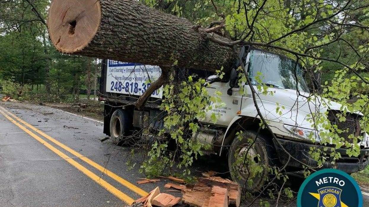 Tree on truck