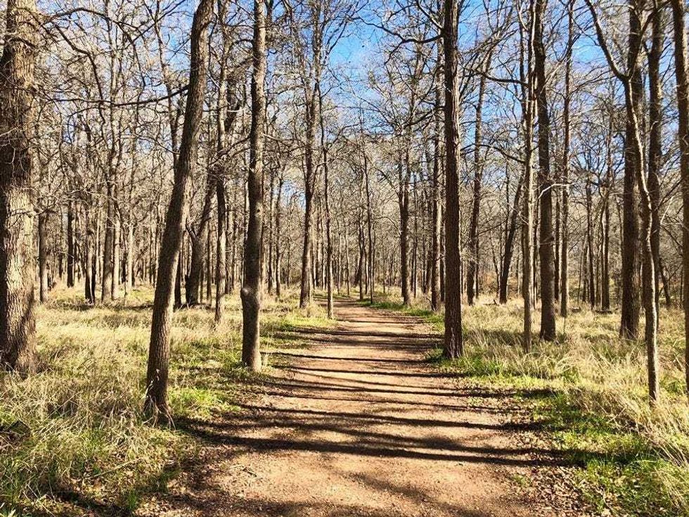 tree path