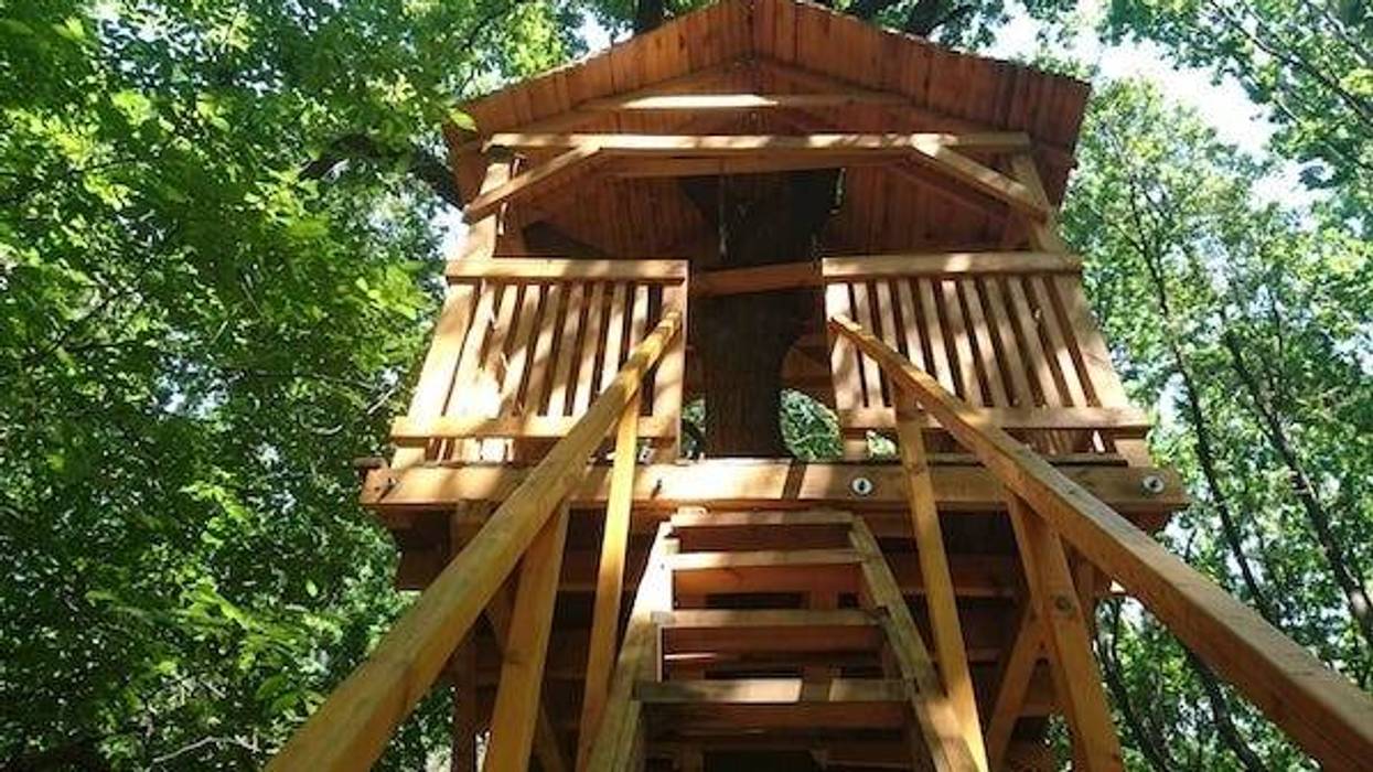Treehouse in the forest