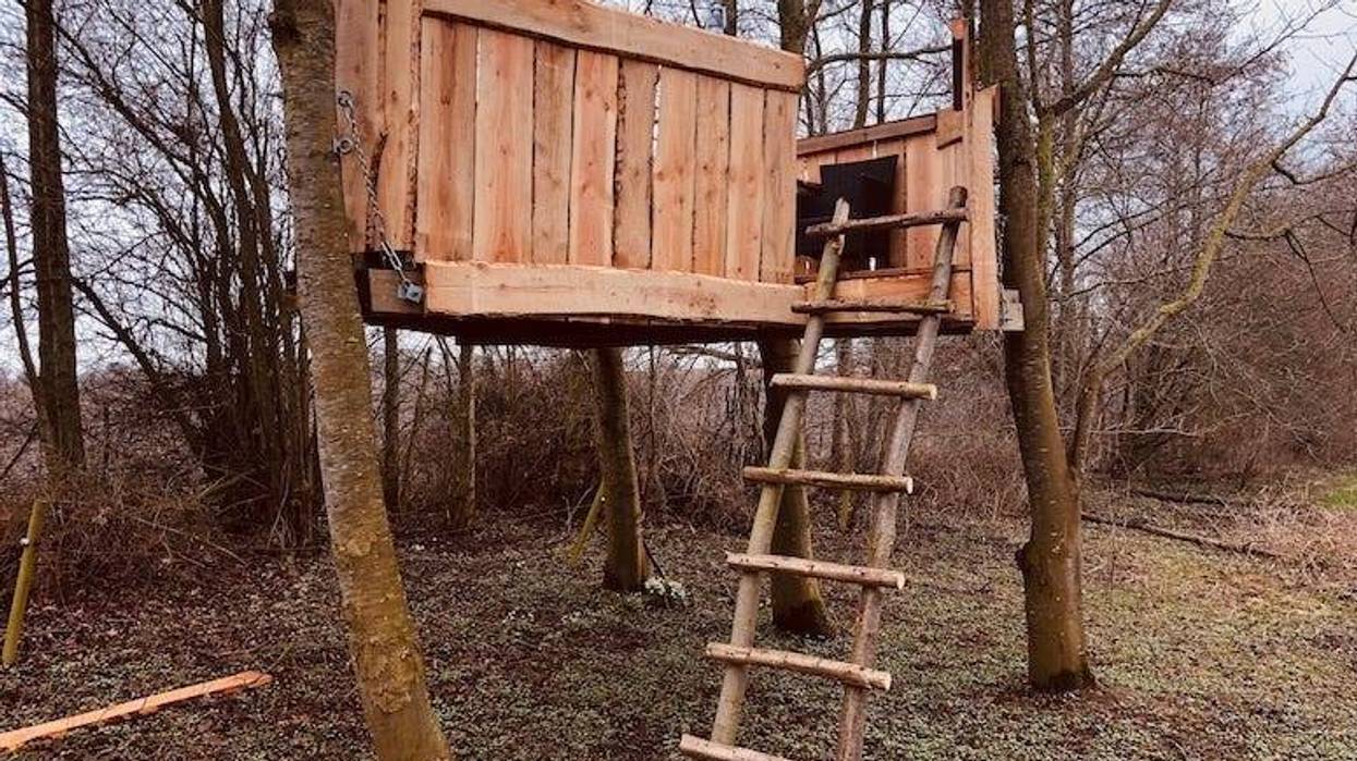 Treehouse, Wood, Tree, Lawn, Garden
