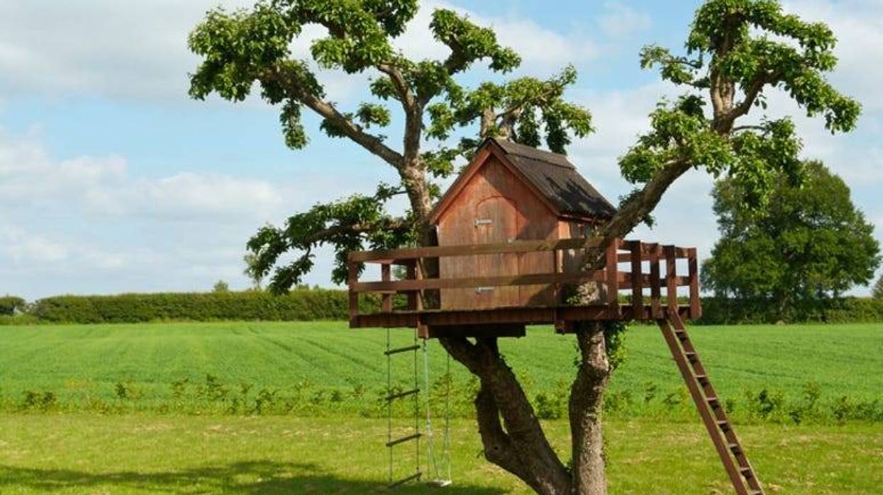 Treehouse