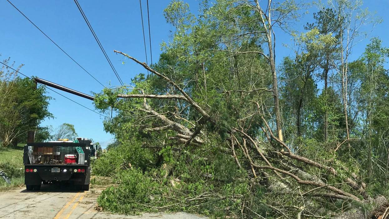 Trees Blocking Road in Seneca