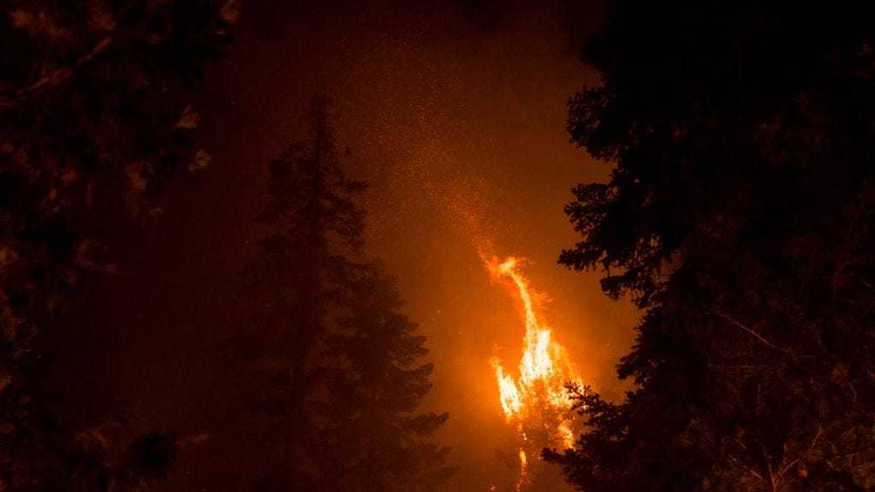 Trees burn during the Mosquito Fire on September 14, 2022 in Foresthill, California. The Mosquito fire has became California’s largest wildfire of the year. (Photo by Eric Thayer/Getty Images)