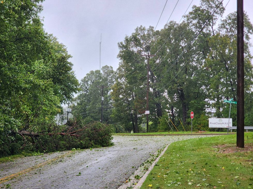 Trees down and blocking roadways in downtown Greenville