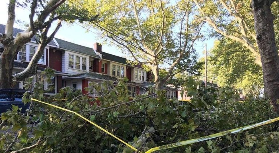 Trees, power lines down as another storm leaves its mark on Philly area