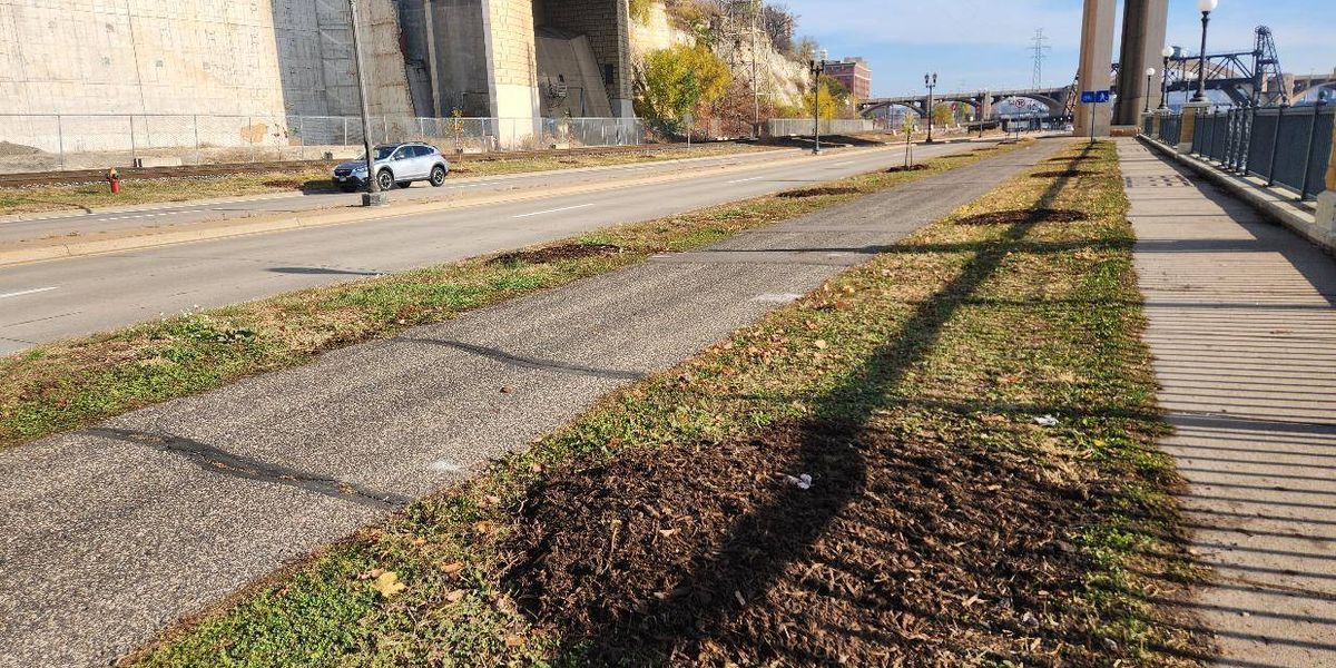 St. Paul police post image of possible tree vandal