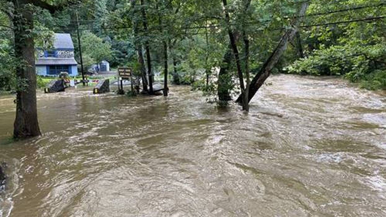 Trees were knocked down, roads and trails washed out, in Ridley Creek State Park in Delaware County.