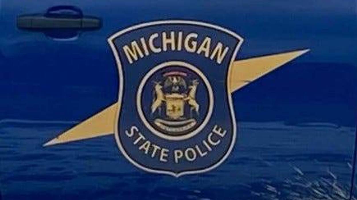 Troopers petitioned for mental health care on Tuesday night after the man they found wandering in the middle of M-10 fought state police and bashed a patrol car window in with his head.