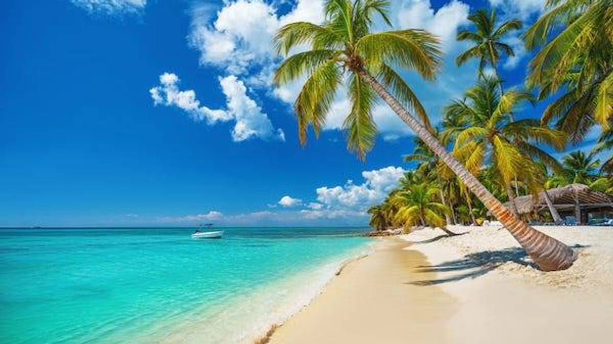 Tropical beach in Punta Cana, Dominican Republic, Caribbean island