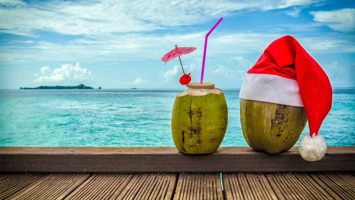 tropical christmas