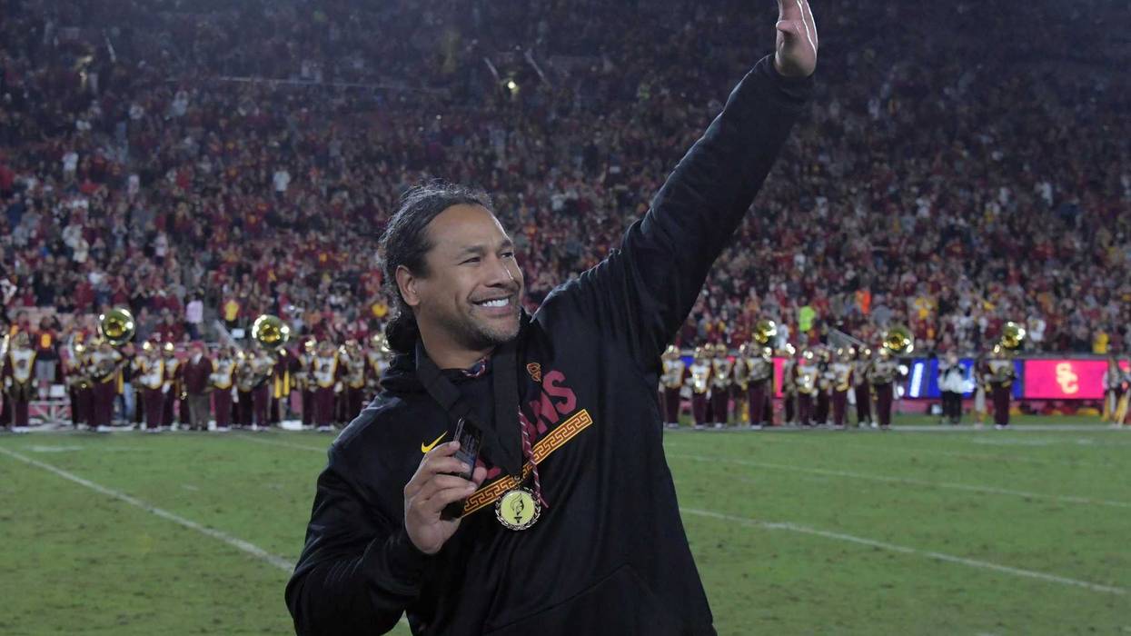 Troy Polamalu