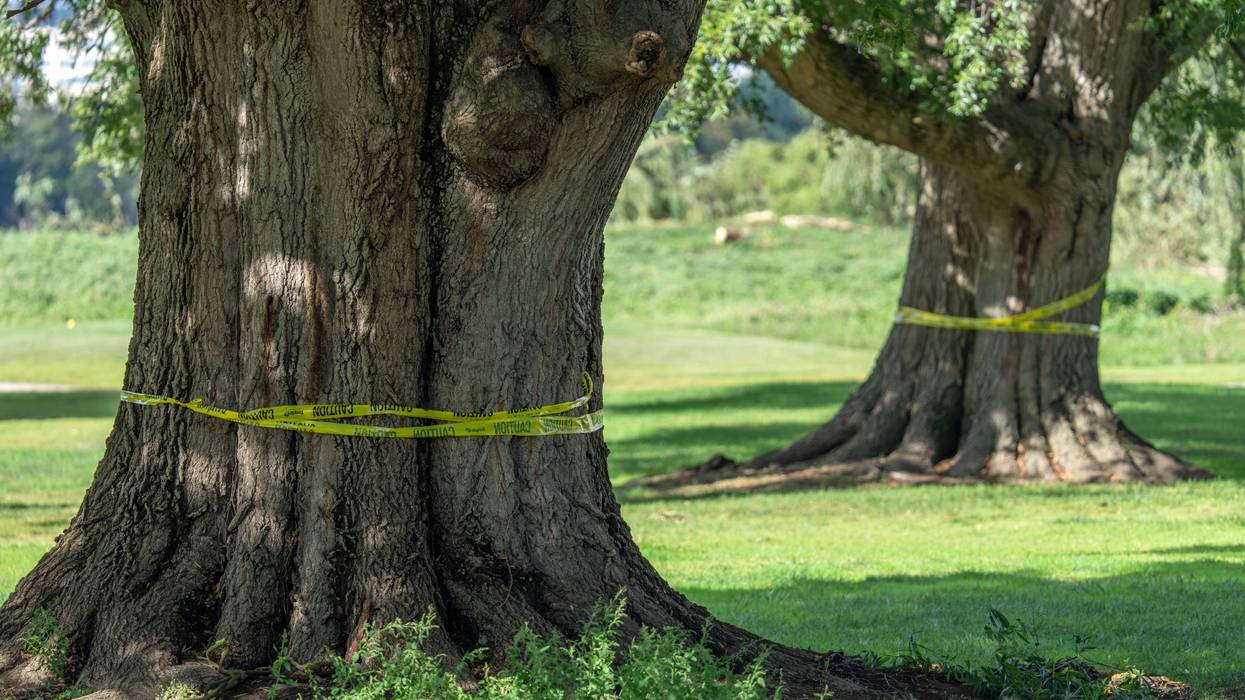 Trump Golf Course