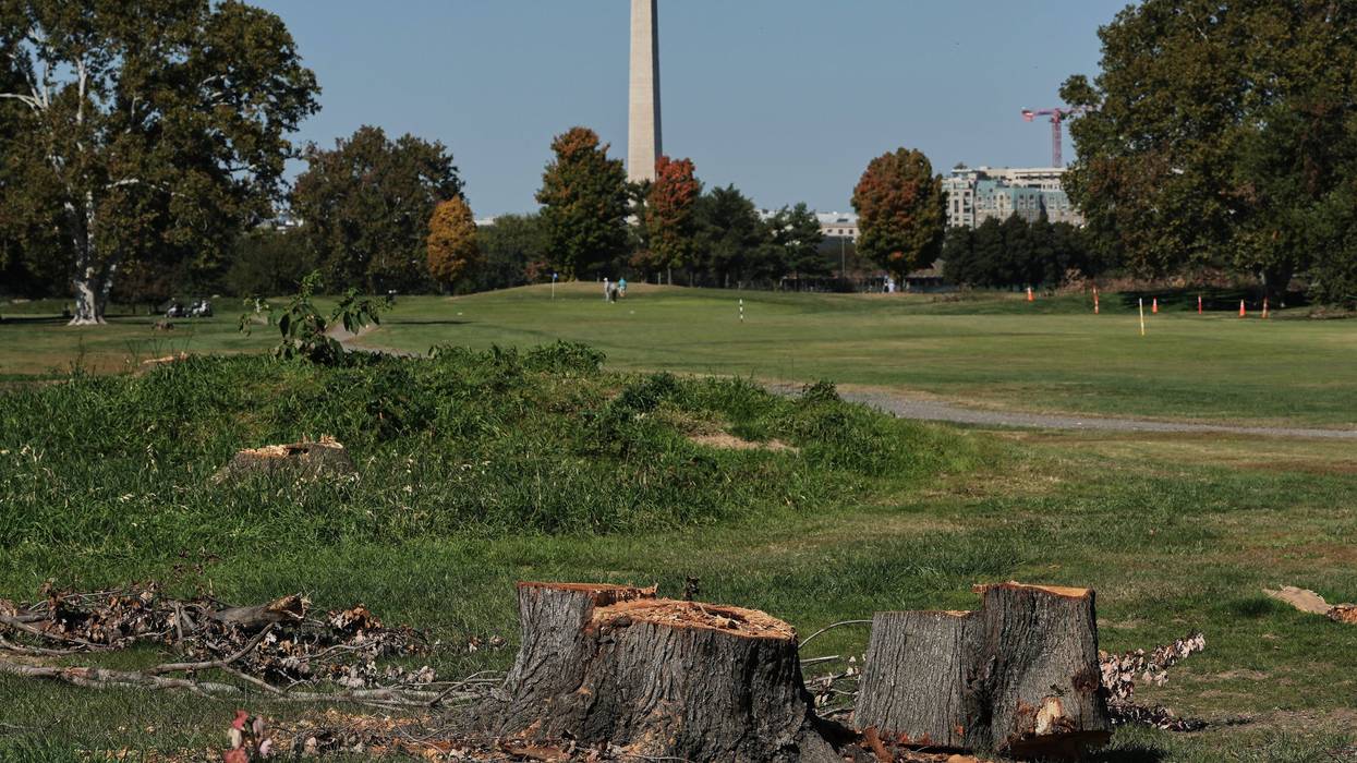 Trump Golf Course