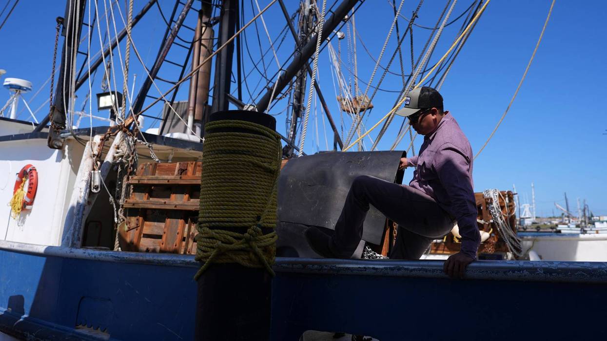 Trump Tariffs Shrimp Industry