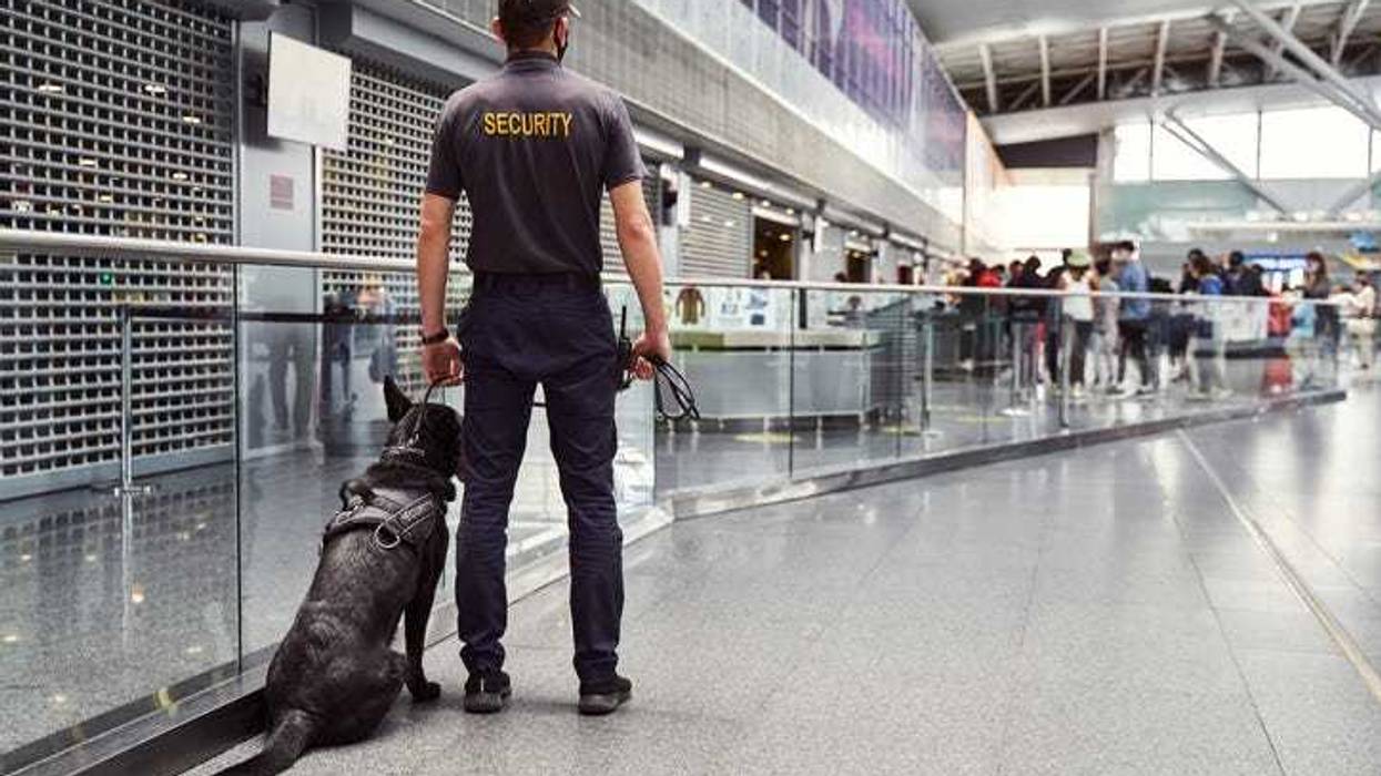 TSA agent at Detroit Metro Airport comes under fire after a video of him mistreating a security dog goes viral