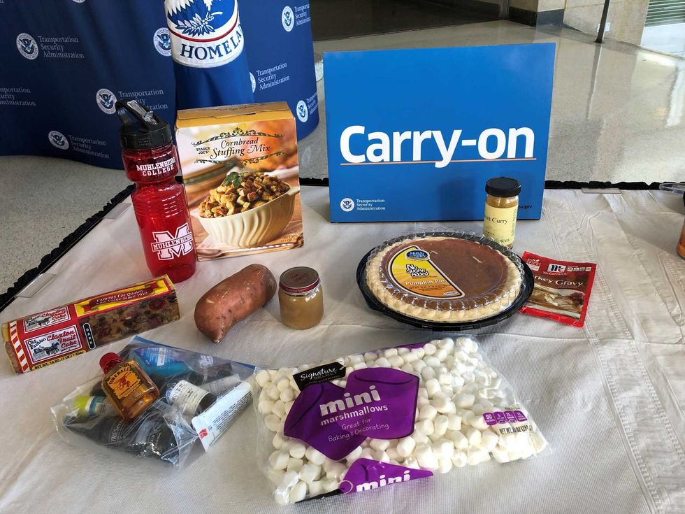 TSA examples of acceptable carry-on foods