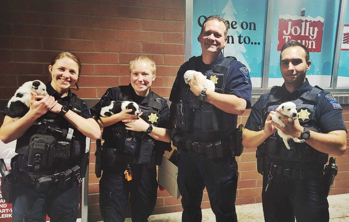 Tulsa police adopt abandoned puppies