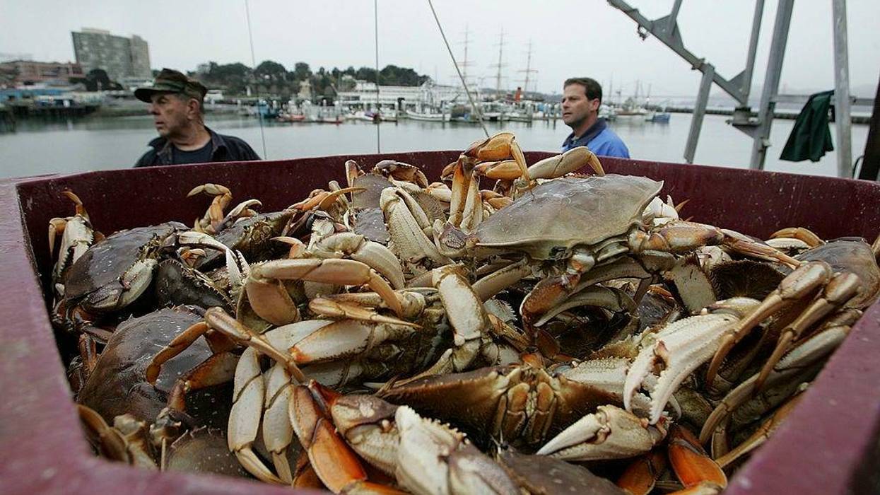 Two fisherman stand near a bucket full of Dungeness Crab on Fisherman's Wharf November 28, 2005 in San Francisco, California.