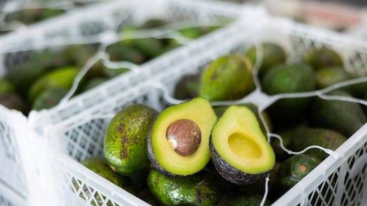 Two halves of ripe hass avocado on box with selected avocado