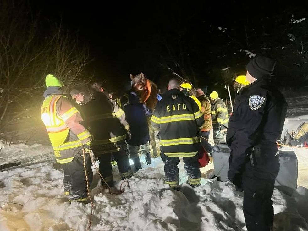 Two horses that fell into a pond Monday night were rescued by volunteer firefighters.