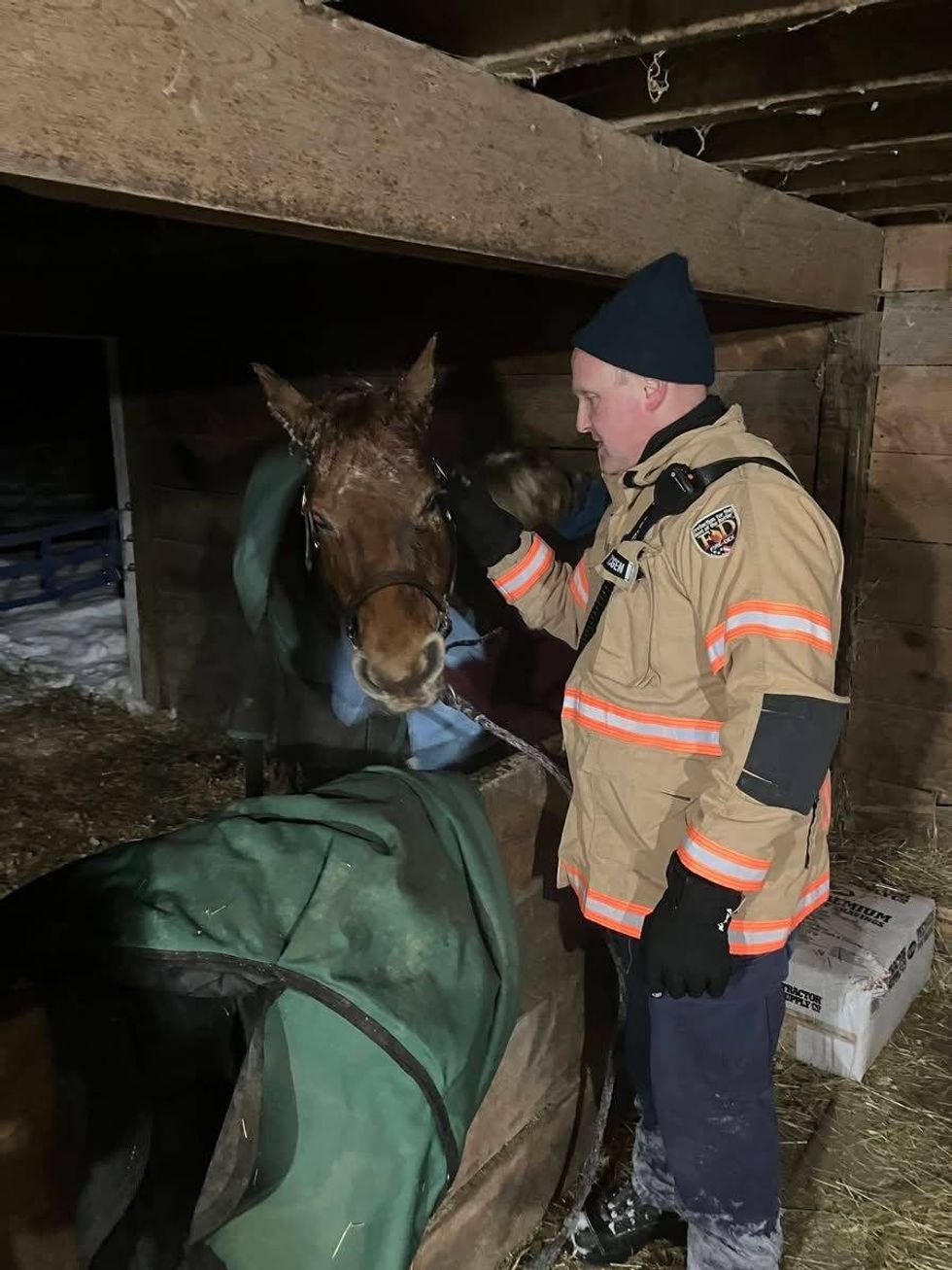 Two horses were rescued after falling into a pond Monday night.