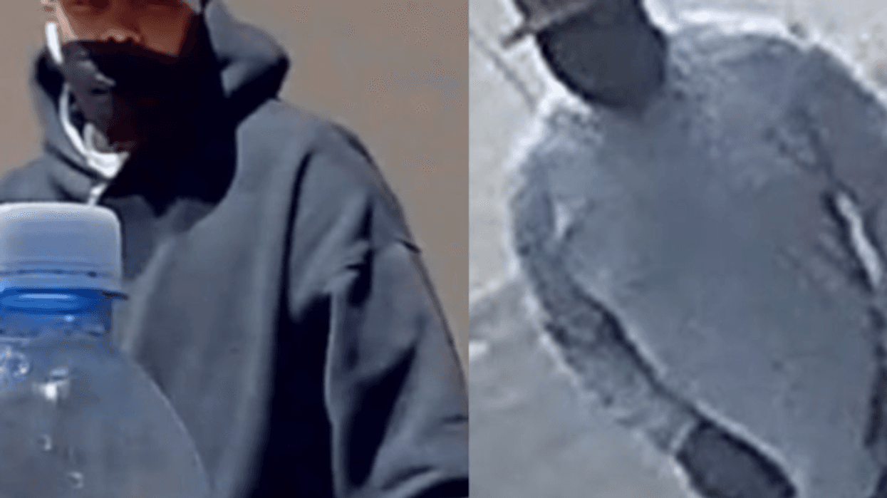 Two suspects wanted in connection with a string of robberies in Queens where two French Bulldogs were stolen.