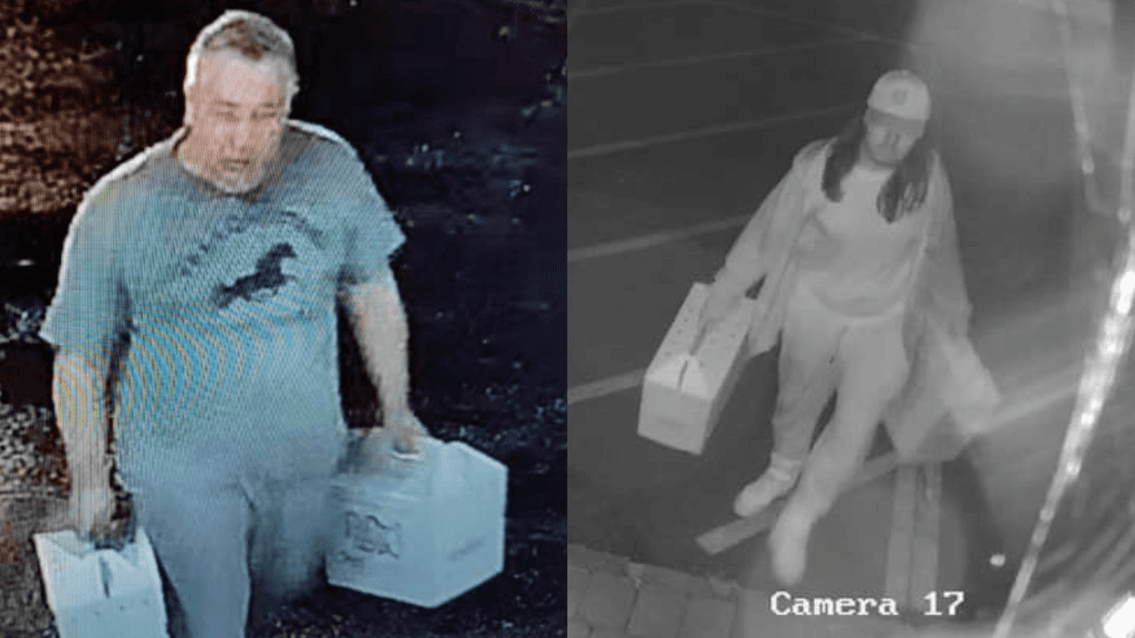 Two unidentified individuals abandoned hairless cats in need of medical attention in cardboard carriers in New Jersey on Aug. 15, 2024.
