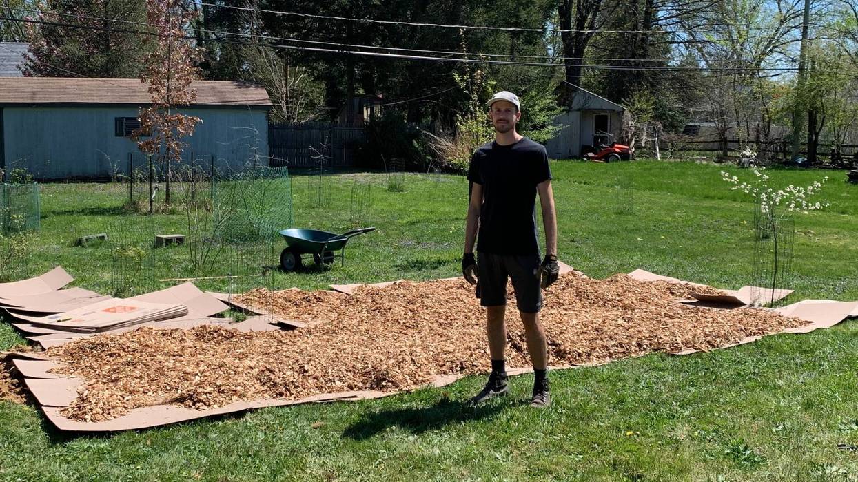 Tyler Kruszewski, who works within the new gardening ethic taking root among homeowners, says the relationship host plants have with the environment shouldn’t be overlooked when designing a yard.