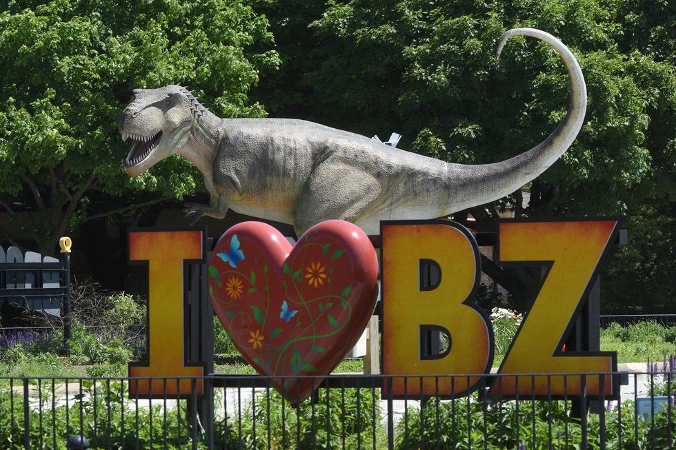 Tyrannasaurus rex at Brookfield Zoo