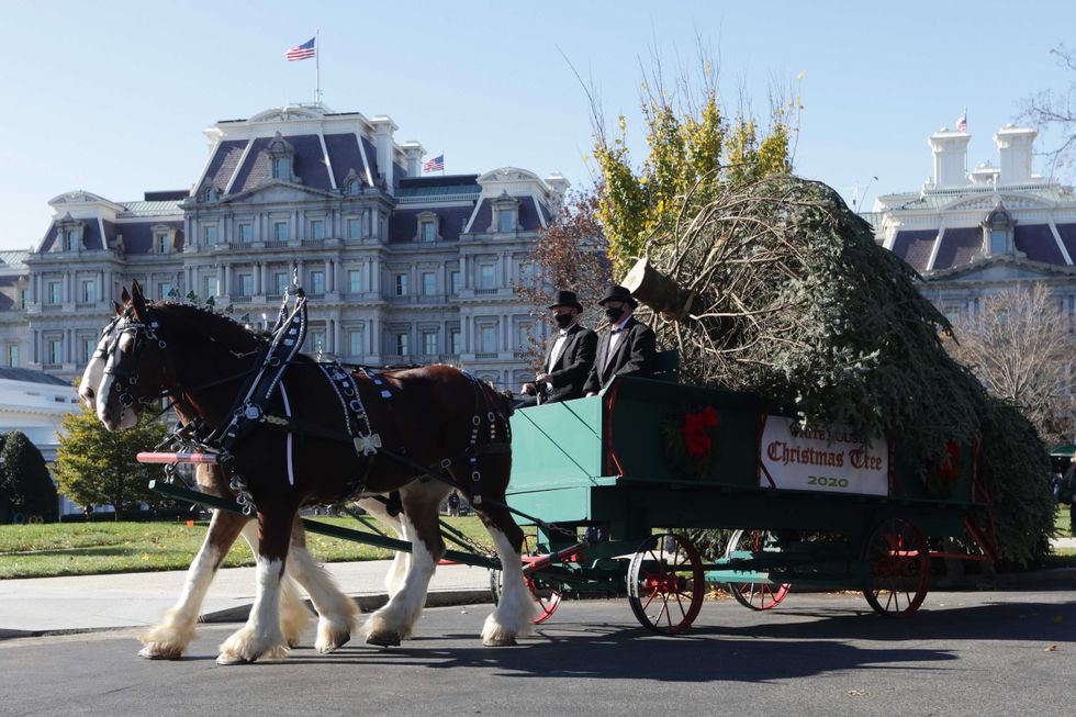 U.S. first lady Melania Trump waves as she receives the 2020 White House Christmas Tree November 23, 2020 at the White House in Washington, DC. The 18 foot tall Fraser Fir from West Virginia will be decorated and displayed in the Blue Room of the White House for this holiday season.