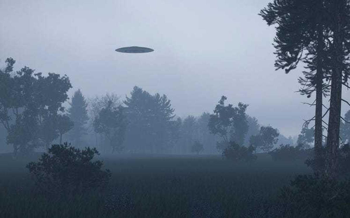 UFO in a forest.