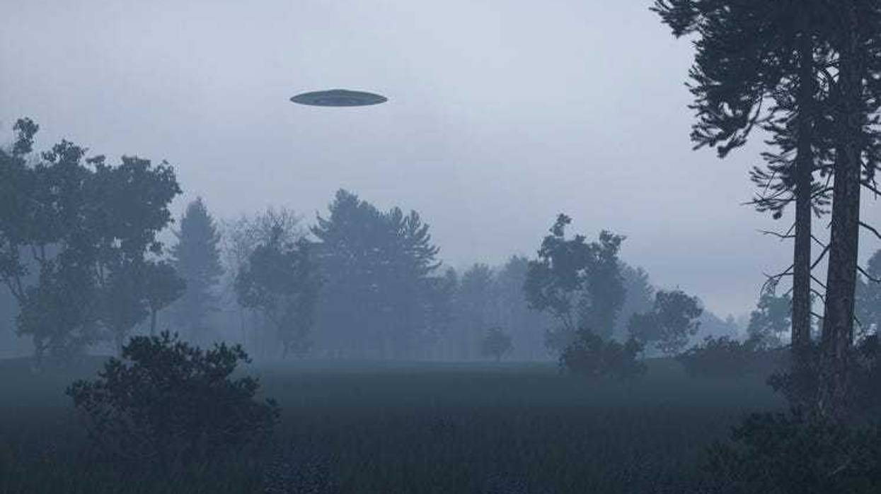 UFO in a forest.