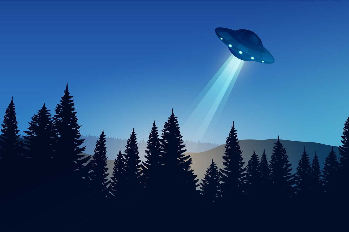 UFO in the woods.