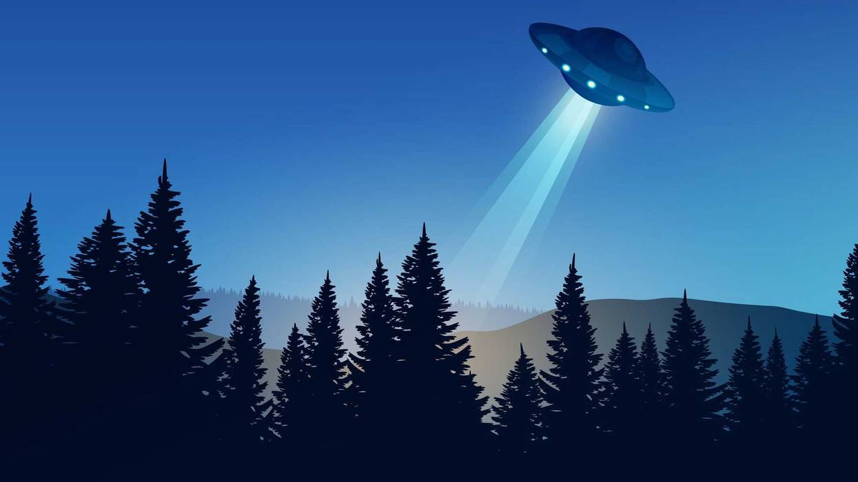 UFO in the woods.
