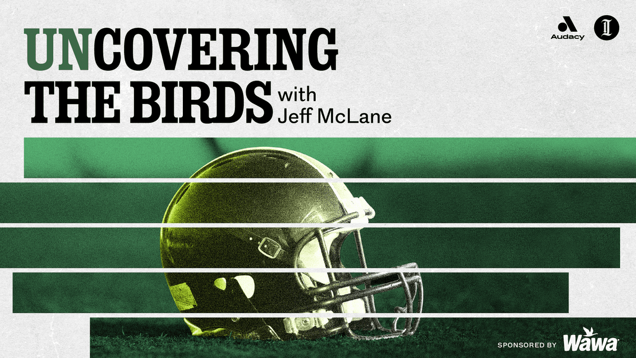 Uncovering The Birds.