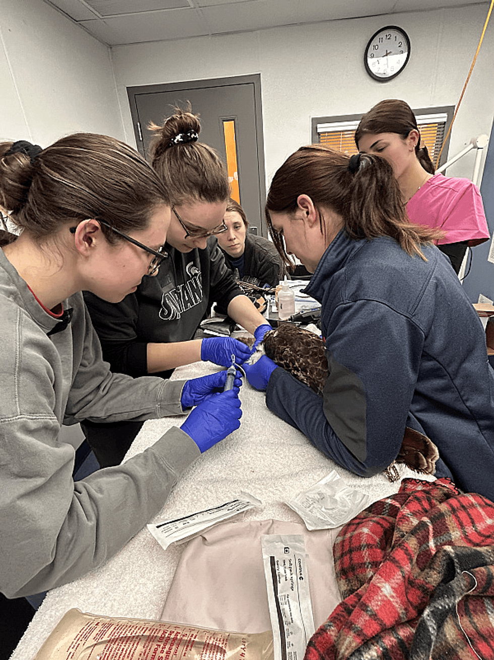 University of Illinois