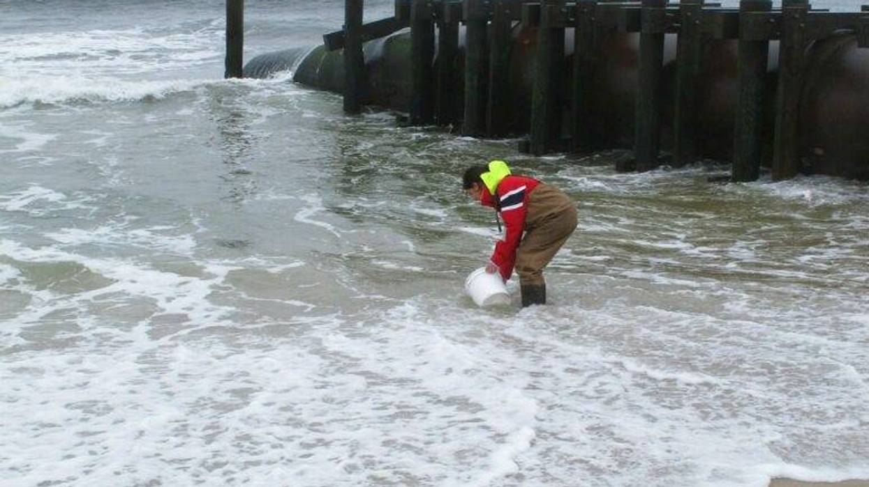 University researchers are studying the relationship between heavy rainfall and elevated levels of bacteria from animal waste that gets flushed into storm sewers and out in the ocean.