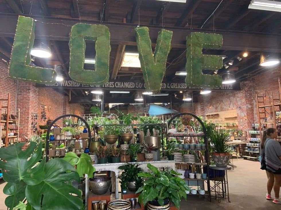 Urban Jungle on East Passyunk Avenue.