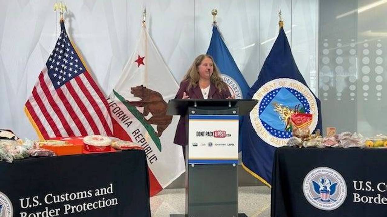 US customs and Broder Protections