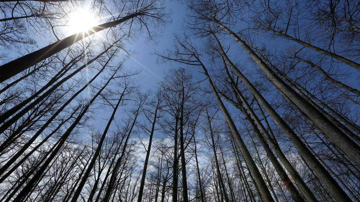 US-Forest Service Relocating 618