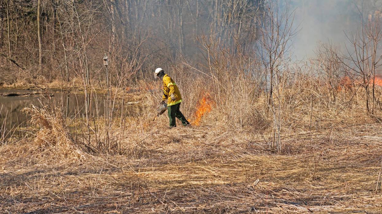Using the Drip Torch to Start a Controlled Burn in Spring Valley Nature Center in Schaumburg, Illinois.