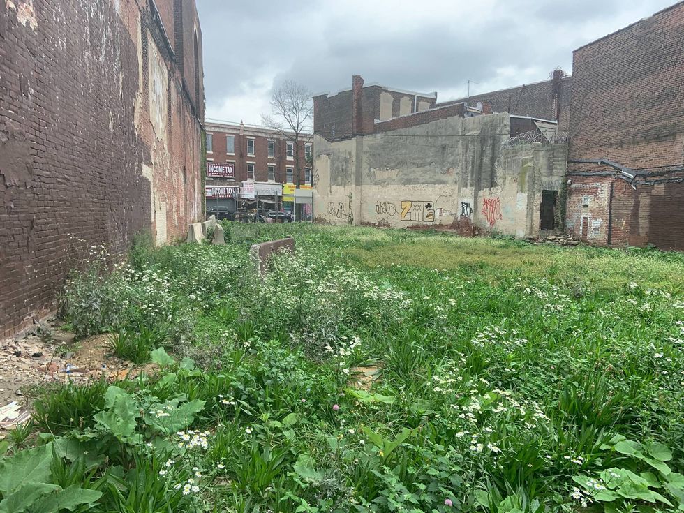 Vacant land in Hunting Park where dozens of rats have been discovered.