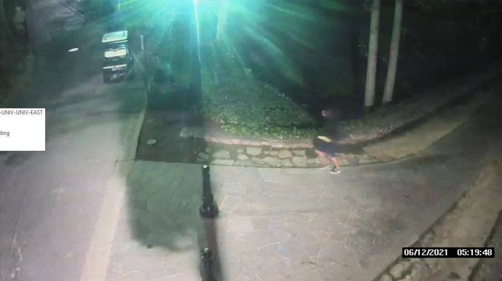 Vandalism suspect