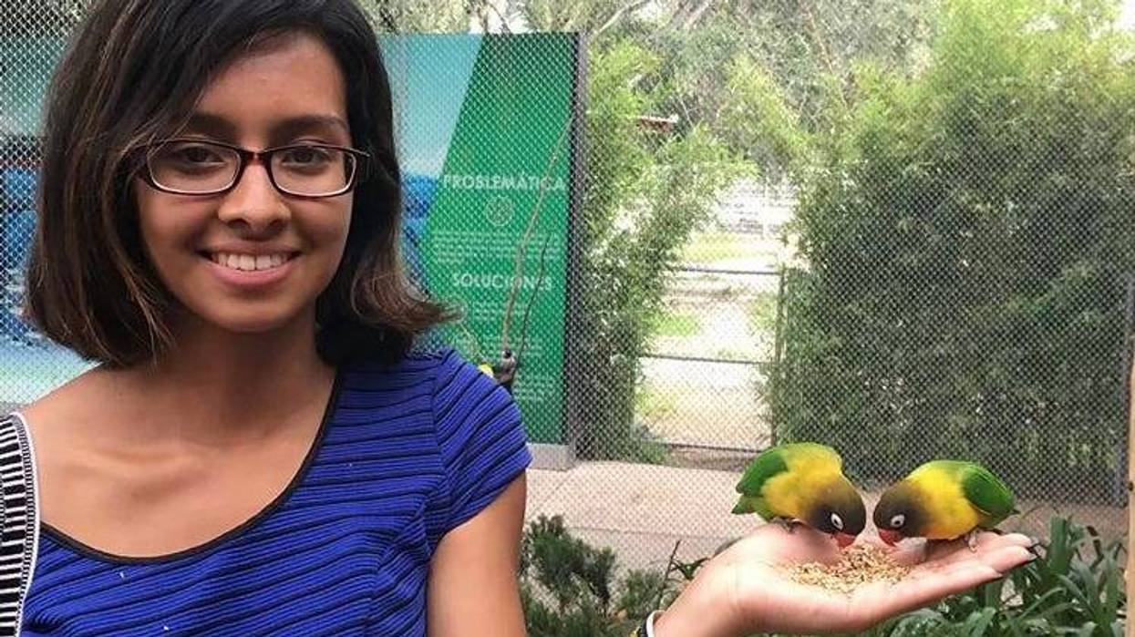 Vanessa Ceja-Ramirez