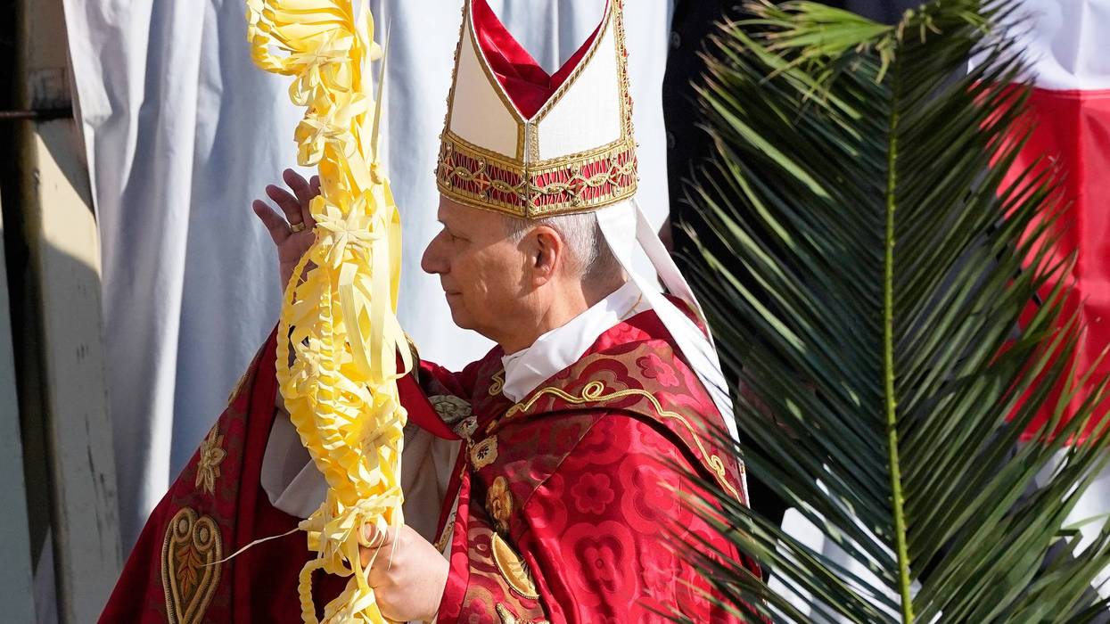 Vatican Pope Palm Sunday