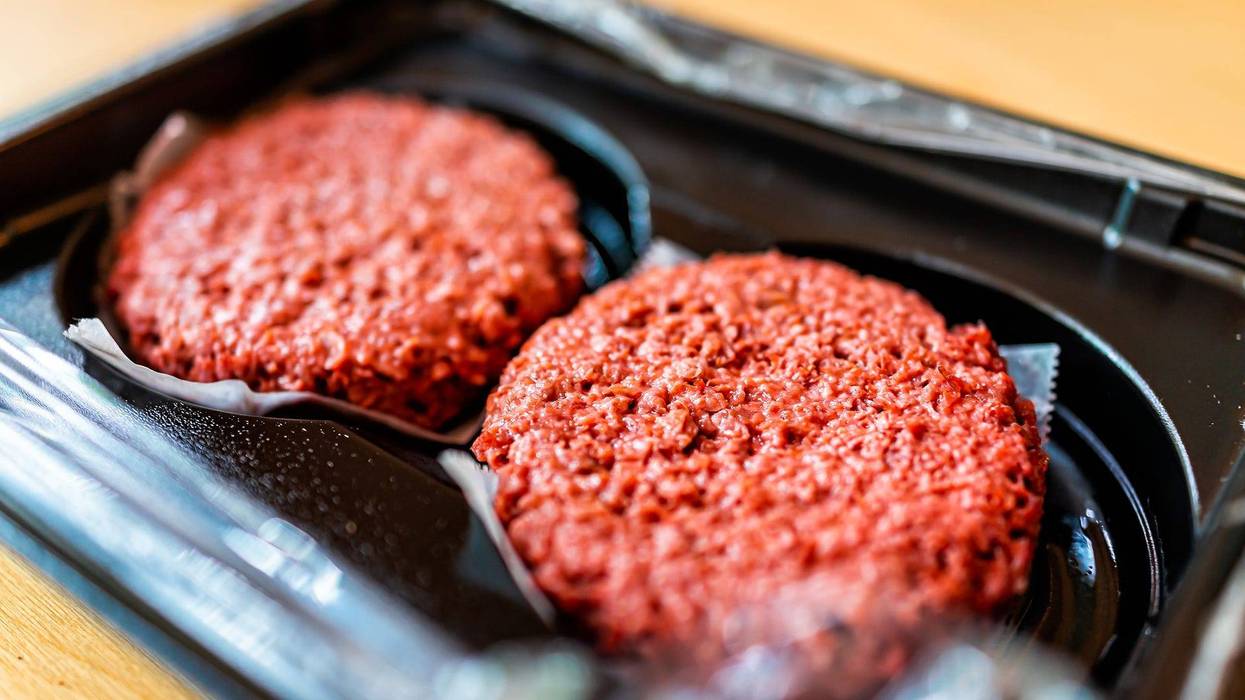 Vegan meat burger patties