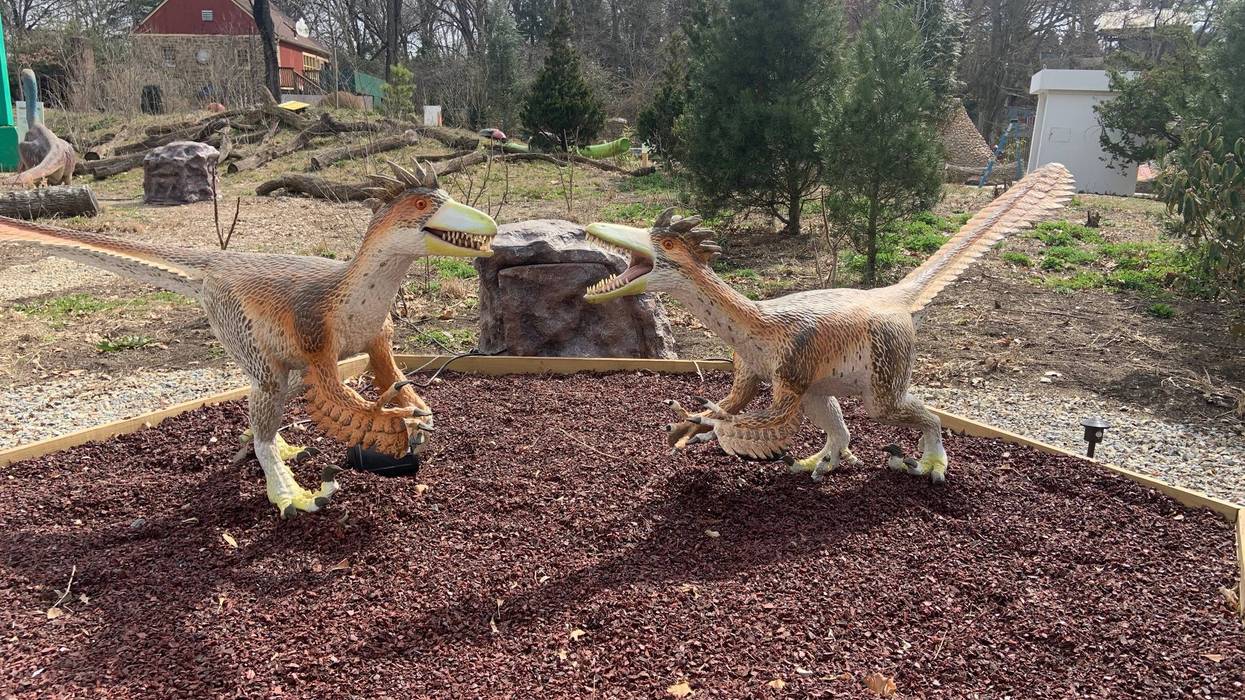Velociraptors at the Philadelphia Zoo