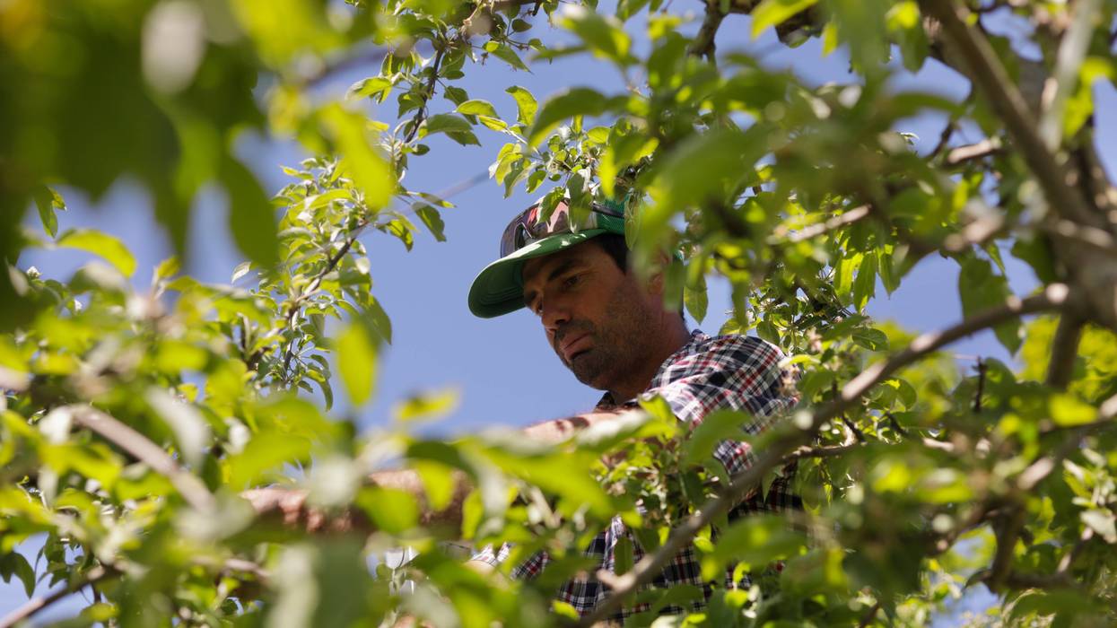 Vermont Paraquat Ban